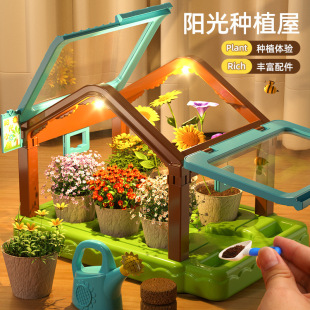 Cross-Border Children's Sun Room Planting Greenhouse Observation Farm Plant Growth Play House Science Experiment Set Toys