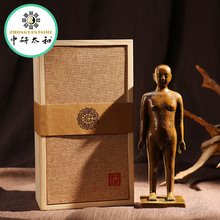 ��ͭ���Ѩλͭ��ȫ��Ѩλ����ģ�ʹ�����ҩ��װ��������ҽҩҽ��