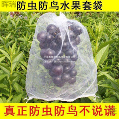 防虫透气吃防鸟套袋纱网袋袋套袋无花果莓瓜果蓝莓水果网套葡萄