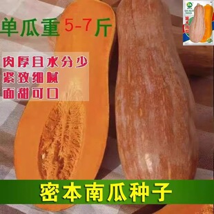 �۱��ϹϷN�� ���Ϸ��ϷN�� �۱��Ϲ��� �L�ϹϷN�� ��������߮a