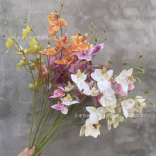 ���������m����c��Y�Y�õ�픻����b��߻����Ҿ��b����滨