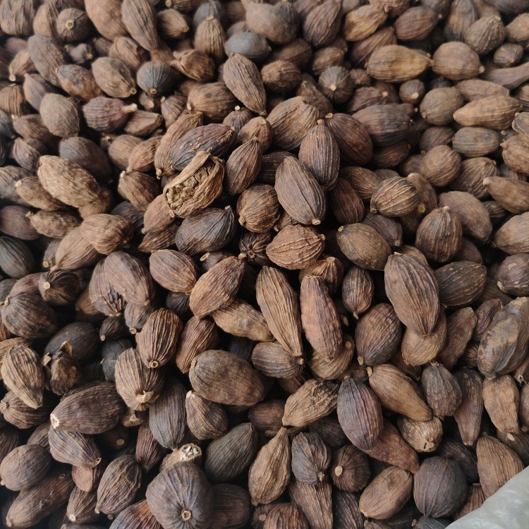 云南草果 香辛料 火锅底料 批发散装足干草果