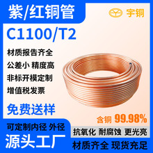 ��ڏ����~�� T2 C1100�l�����oˮ�t�~�� �͸��g�Ӻ�ڼ��~��