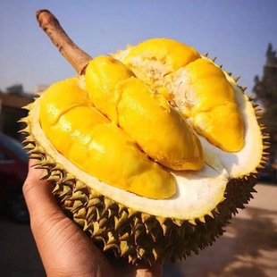 Whole fruit box of thai golden pillow durian 618 special price free shipping
