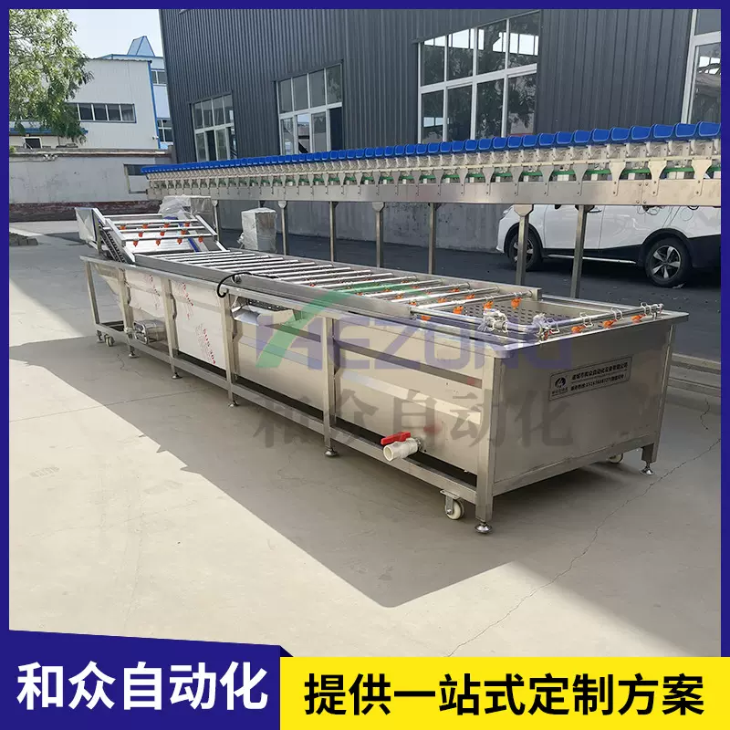 小型气泡清洗机 黑加仑蓝靛果气泡清洗机振动沥水设备 果蔬清洗机