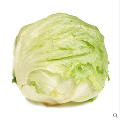 ボールレタス 10kg 送料無料雲南新鮮野菜サラダ材料洋風ハンバーガーラウンドレタスボールタイプ西洋レタス|undefined