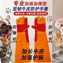 ��������׷�؈ץ����˺ҧ��������B�Ӻ���L60CMţƤ���o����