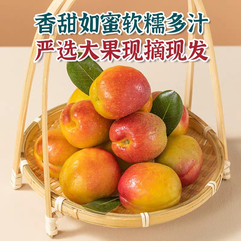 新疆阿克苏芒果杏吊干杏子新鲜水果哈密特产甜蜜油杏小红杏小白杏