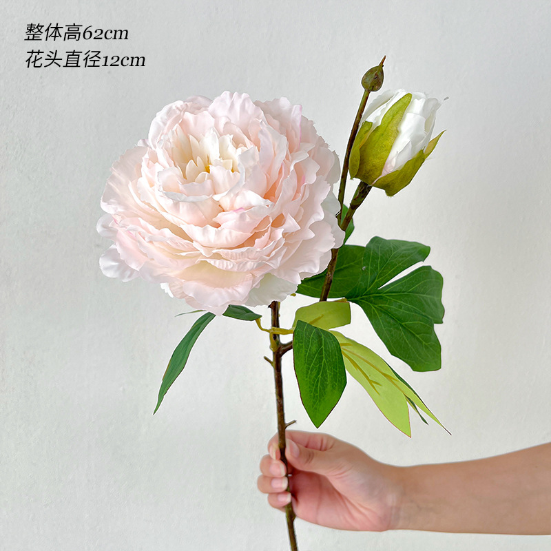 핑크 스프링 모란 2개