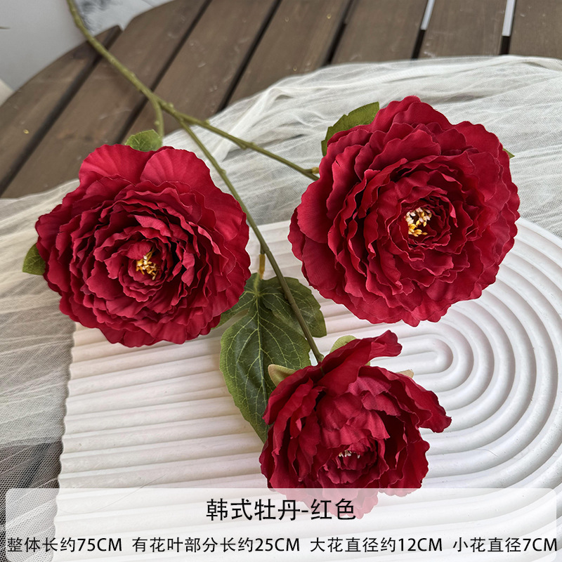 한국 모란-레드