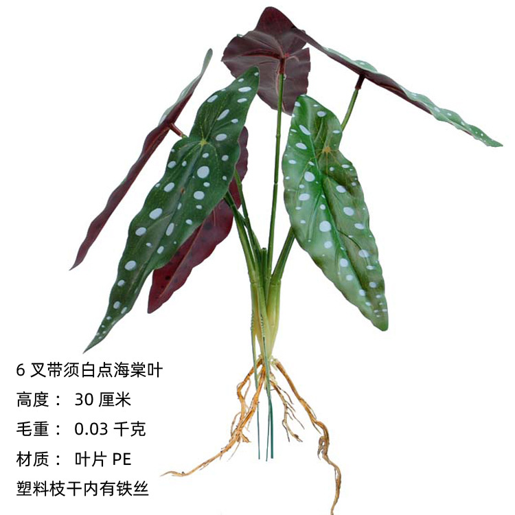 6 tenedor con puntos blancos mango HOJA DE Begonia