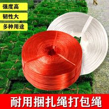 �����������K����˺��Ĥ���l�����K��������������ϻ������͸ߜ�