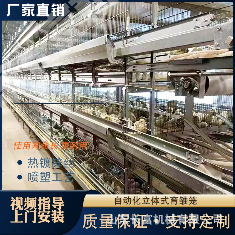 层叠式蛋鸡笼 H型三层自动化养鸡 养殖鹌鹑笼 12位16位加粗肉鸽笼