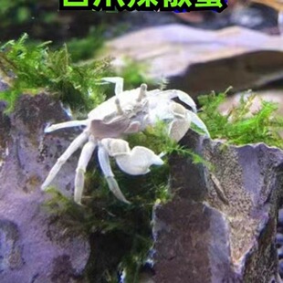 ����зС�зС�~����؛�r�[��؛����з�^�pз���w����tצ����з