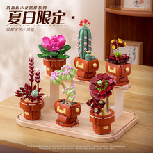 ��R113�eľƴ�bֲ�ﻨ��DIY���ԃ�ͯ�ֹ�����[��ģ���p׃�羳