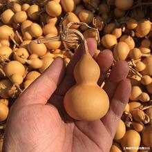 �����������J�؎�?��Ȼ��������^С���J���J�ؔ�����