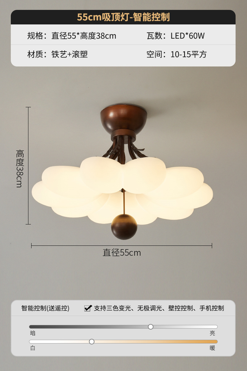 55CM-Apoyo Xiaoai Student Control