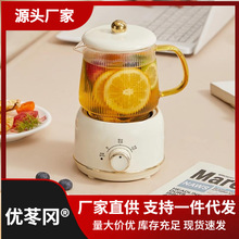 全玻璃煮水壶办公室小型mini煮茶器花茶壶烧茶壶迷你养生壶养生杯