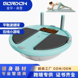 其他健身器材;其他搏击用品;健腹器