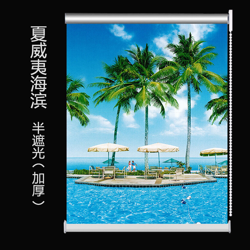 ローラーブラインドカーテンリフトタイプ寝室遮光ロールプルタイプパンチフリーリビングルーム風景画オフィスバスルーム防水|undefined