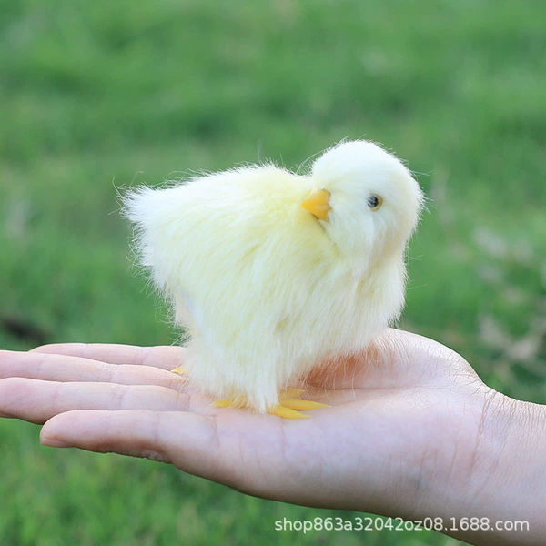 Turn around the chick (with a vocal)