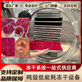 冻干机云南墨红玫瑰花茶 可试样真空干燥机械 花液可回收冻干设备