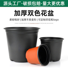 pp�����pɫ��ܛ���Ͽ羳С����һ���Ժ�ɫ�I�B���Ӻ������pɫ����