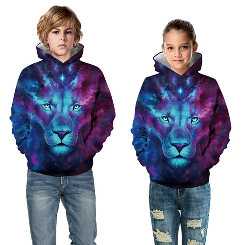 Cross-border 3D pattern digital printing children's clothing spring and autumn hooded fashion sweatshirt loose pullover hoodie wholesale