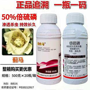 �Z���R50%��������rș���x���S�������������������E�R���Ԍ���