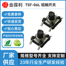 ΢ӸߜذI_PTSF-06Lp|_PˮmNƬ^ʽo_P