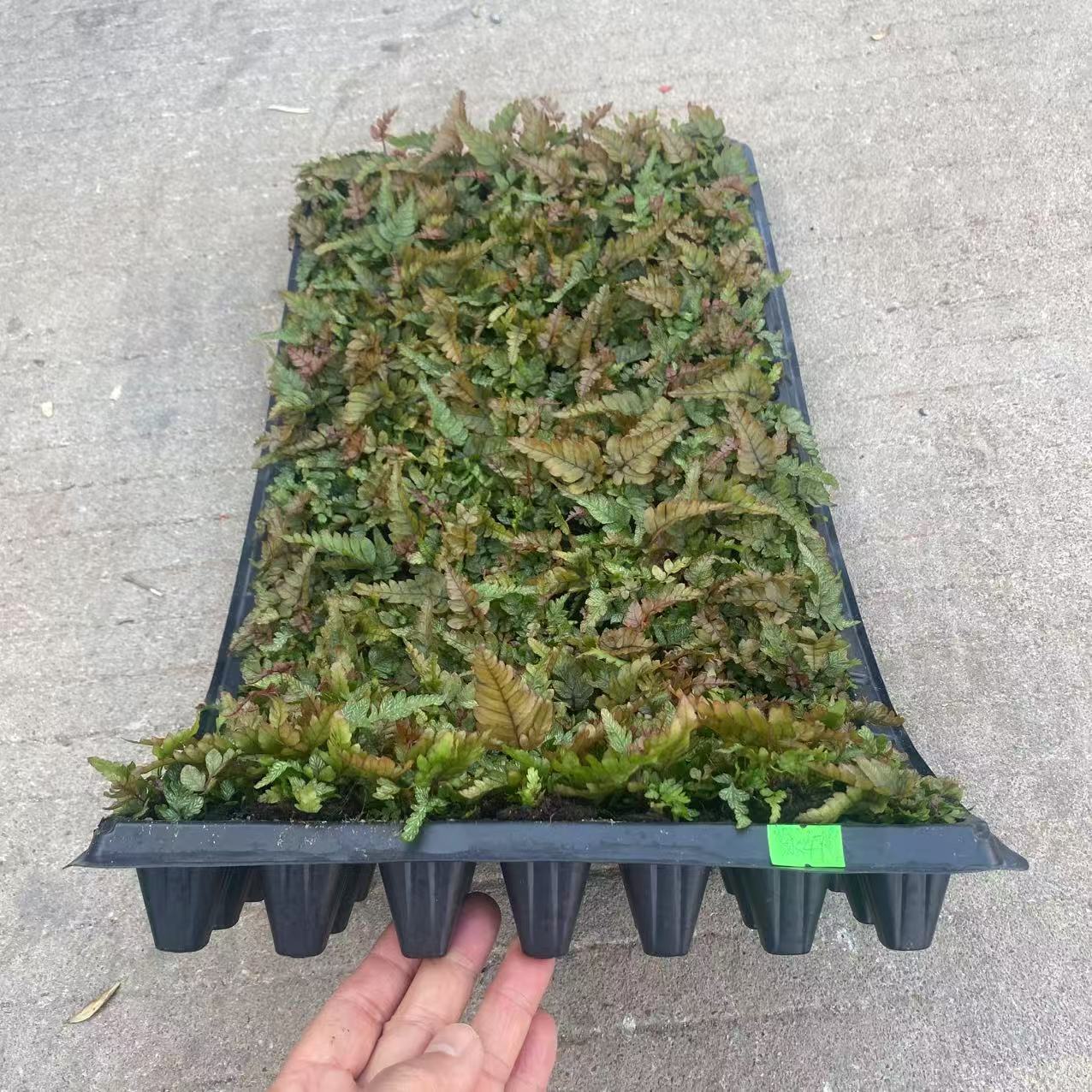 9984847fba4e8e89f90e1a56e0b4fc