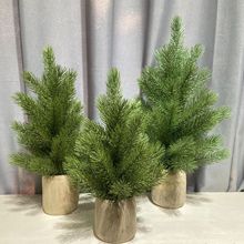 �}�Q����ᘘ�����[���}�Q���b���Ʒ�羳������Ʒ�̈������b�