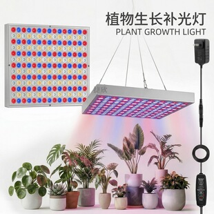 �Ғ�ֲ�����L�����Ӱ�ȫ���V�����߹����ܶ���ˮ����΢���~���a��