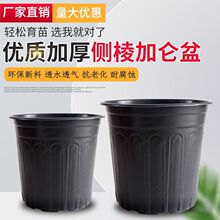 �Ӻ����϶���;��@�L���pɫ�����¼����⌣��һ������ֲ��I�B��