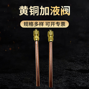 �ᘼ�Һ�y100mm�L���{�����y��Һ�y��ý��ע�y����y �S�~��y