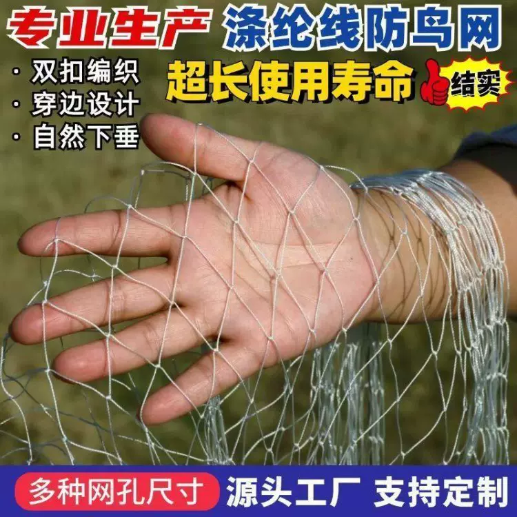 防鸟网白色涤纶果园专用 果树樱桃葡萄大棚防小鸟网养殖防护网