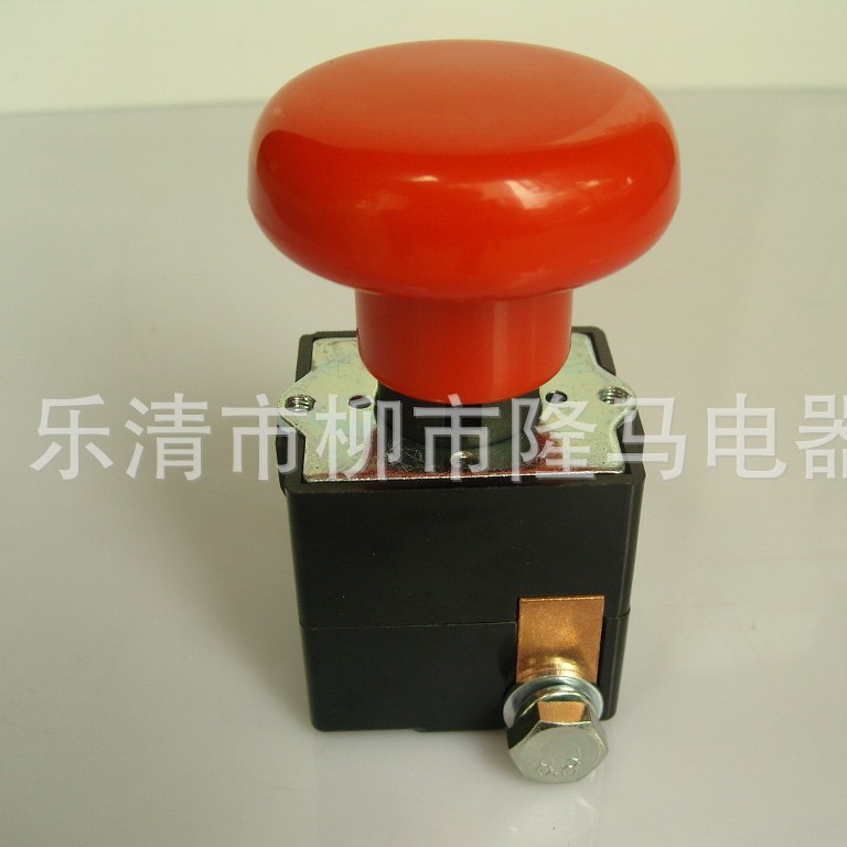 隆马电器  品牌开关110v开关 10A-100A-260A开关  小型开关200a