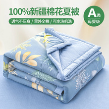 a�ȫ�޼����ě������{���ı��ļ��Cϴ�����p�˱������ļ������l