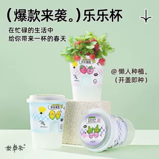 乐乐杯开盖即种 • 活动礼品绿植花卉盆栽 室内桌面植物D好养