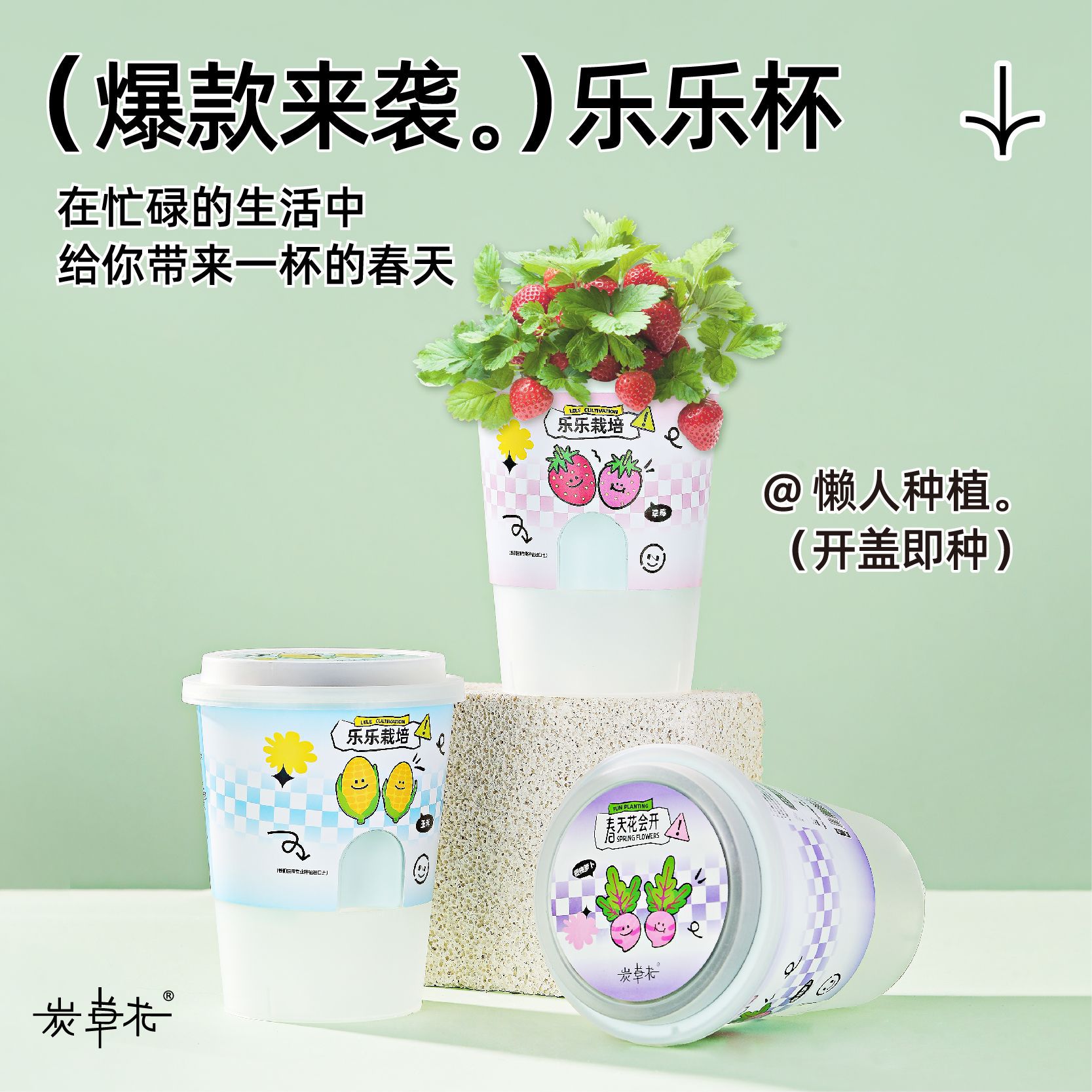 乐乐杯开盖即种新手友好 ? 活动礼品绿植花卉盆栽 室内桌面植物D