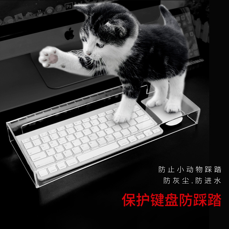 Factory Customized High Transparent Acrylic Keyboard Dust Cover Desktop Notebook Waterproof Dustproof Pet Stepping Cover