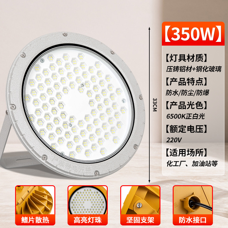 [그레이 라운드 EX 방폭등] 350W