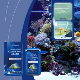 身体护理套装;其他美妆工具;头皮护理用品