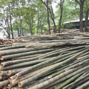 ë��  ���߲� �u���Bֳ����   ���B���� Դ�^�a�ذl؛ ����ă�