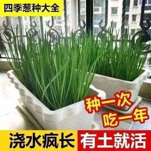 �[�N���ļ�С���[�N�Ӵ��[���̨�҃���ͥԺ���Է��[�߲˷N�ݾGֲ