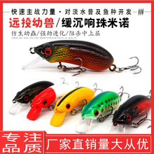 �hͶ����С�������Z5cm7g·�����D����ˮ�܊�~�|�~�N���T�Z�~�D