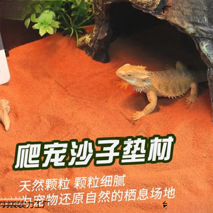 �����}ɳ����ɰ�،m�������x�쾰֩��ϐ����B��|������