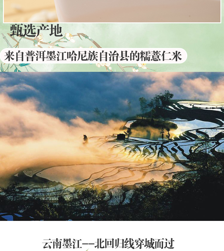 Yunnan Old Variety Coix Seed Broken Job's Tears Mojiang Glutinous Coix Grain 500g specifications