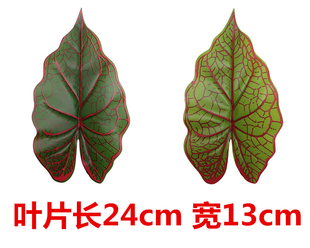 未命名_副本5425