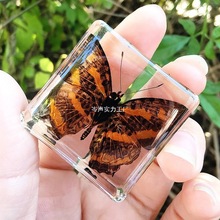 ¡�ɿƌW����ҽ��ׄ���˱���֬���x�˱����xϐ��֩���ռ{�жY��